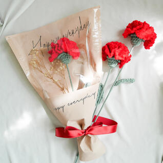 니트 카네이션 꽃다발(용돈봉투)