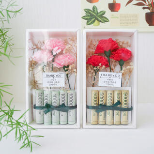 보니토 카네이션 용돈박스