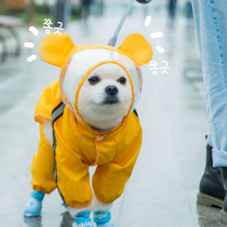 강아지레인코트 반려견 산책용품 방수코트 우비