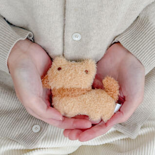 [솜갬즈 인형키링] 빤쮸 솜이