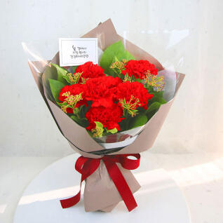 [카네르] 생화 카네이션 꽃다발 (색상/택1)