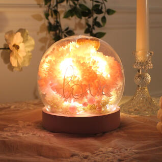 핑크 카네이션 그레이스 돔 LED 무드등