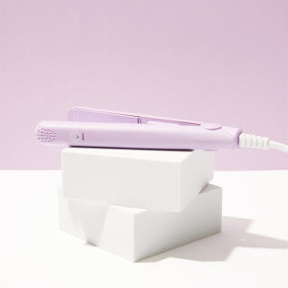 미니고데기 파스텔 바이올렛 비숑 