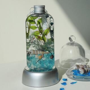 바다 유리 하바리움 무드등 만들기 diy 키트
