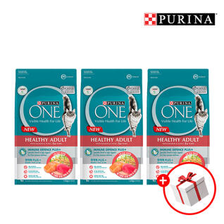 원캣 순살연어와 참치 1.5kg 3개 + 원캣 습식 70g