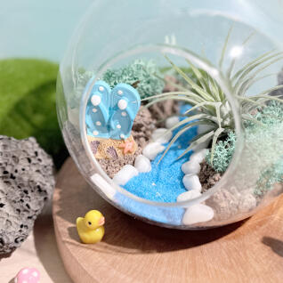 [딜] 토단 테라리움 DIY 키트 특가 모음전