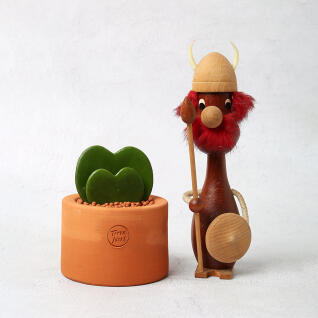 듀얼 하트 호야(Dual Hearts Hoya)선인장 오브제 선물