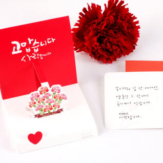 한아름 카네이션 미니 팝업카드