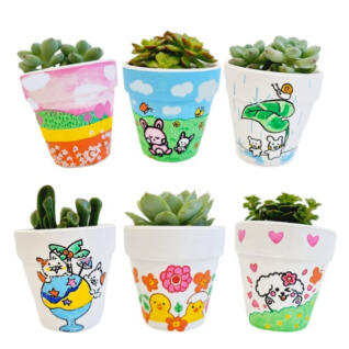 꿈꾸는 다육이 컬러링 화분 키우기 DIY 키트