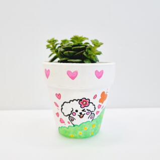 꿈꾸는 다육이 컬러링 화분 키우기 DIY 키트