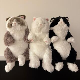 [콤비니] 선레몬 고양이 무릎 인형 모음 (랙돌,페르시안 외~)