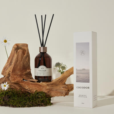 (1+1) 모먼트 디퓨저 300ml