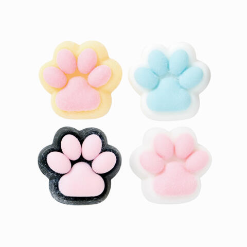 꾹꾹 냥이 발바닥 말랑이 
