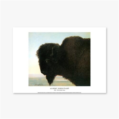 에이블밤부 아트박스/에이블밤부 Buffalo Head - 앨버트 비어슈타트 008