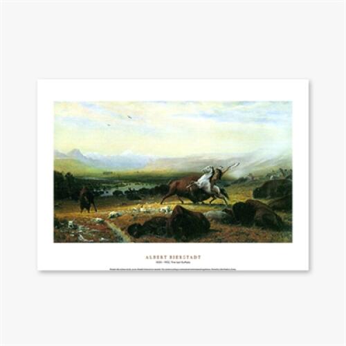 에이블밤부 아트박스/에이블밤부 The last Buffalo - 앨버트 비어슈타트 022