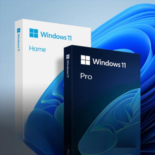 엠에스 [즉시전송]WINDOWS 11 HOME/PRO 정품키 영구한글판