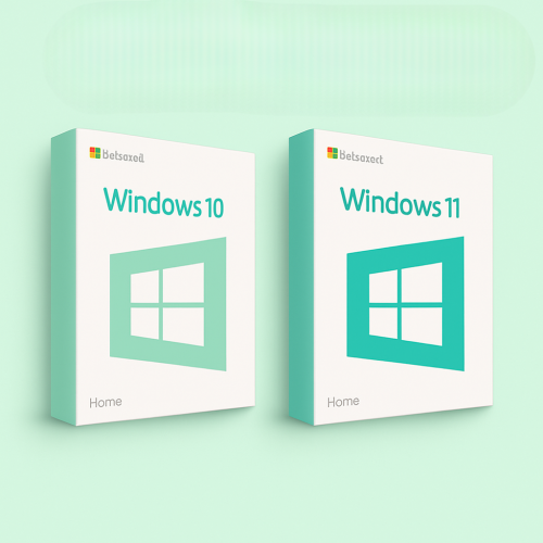 아트박스/엠에스 [정품발송]윈도우 10 홈/프로 정품키 영구한글판