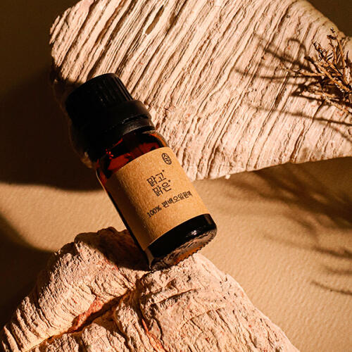 아트박스/온다숲 온다숲 편백나무 오일 10ml 편백큐브 정화석 탈취제