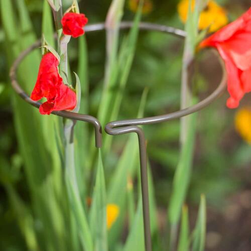 HARROD HORTICULTURAL 아트박스/그린무어 해로즈 홀티컬처럴 식물지지대 (릴리저블) Release Green