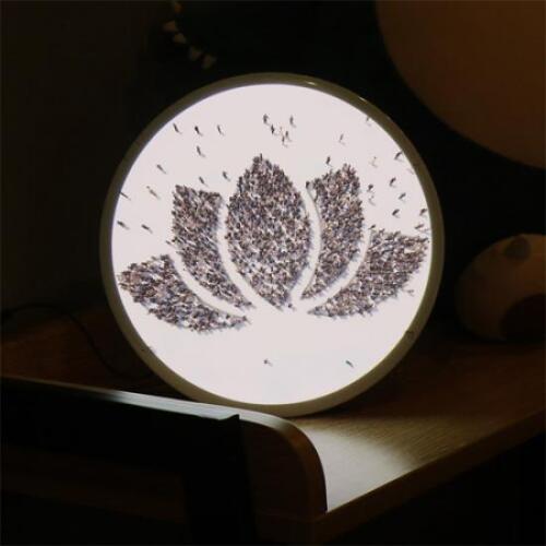 꾸밈 아트박스/꾸밈 ni790-LED액자25R_불심으로대동단결