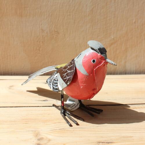 Chi-Africa 아트박스/그린무어 치아프리카 되새 Chaffinch