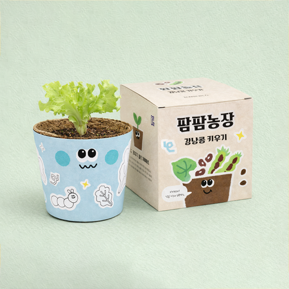 모종 화분 식물 키우기 유치원 체험 미니텃밭