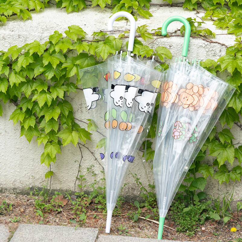 Romane 투명 우산