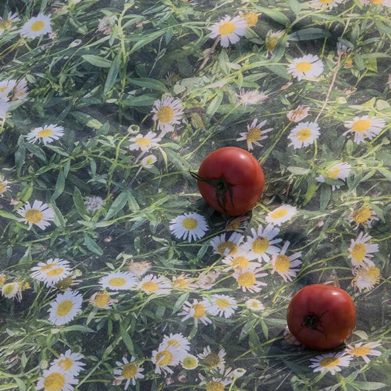 데이지 피크닉매트 140x180cm