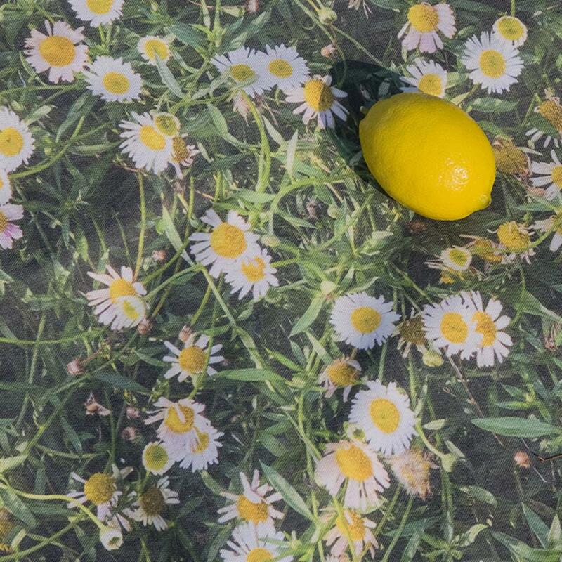 데이지 피크닉매트 140x180cm
