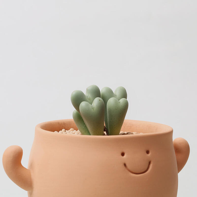 으랏차차 클레이팟 다육이 개업 승진 귀여운 화분