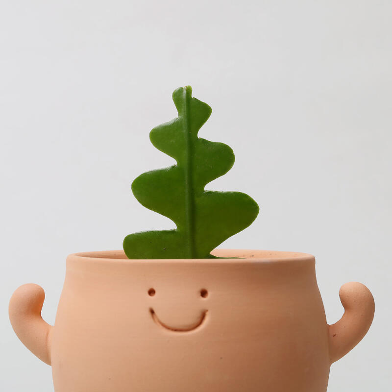 으랏차차 클레이팟 다육이 개업 승진 귀여운 화분