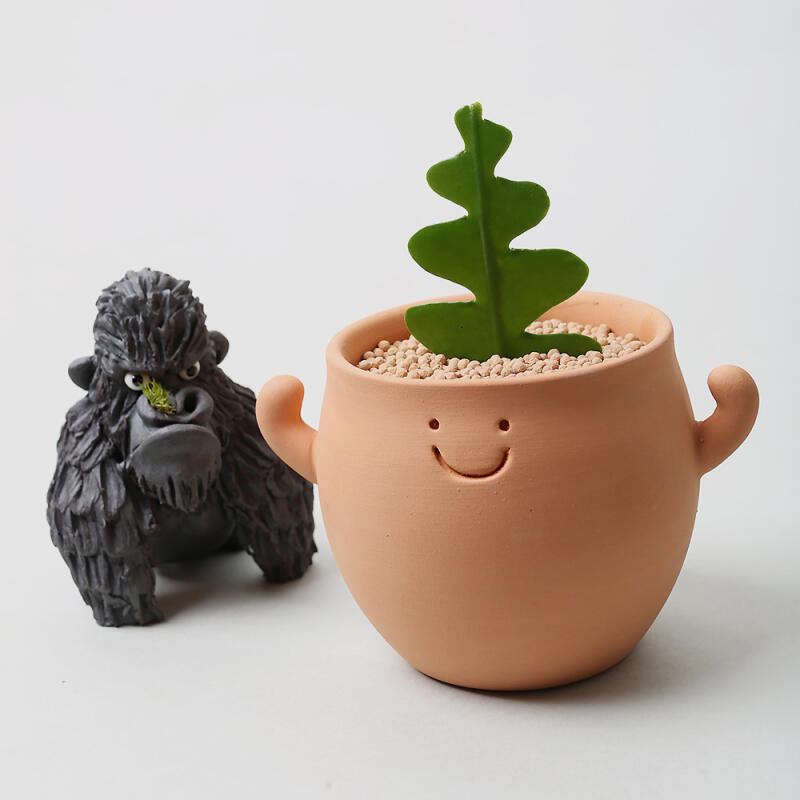 으랏차차 클레이팟 다육이 개업 승진 귀여운 화분