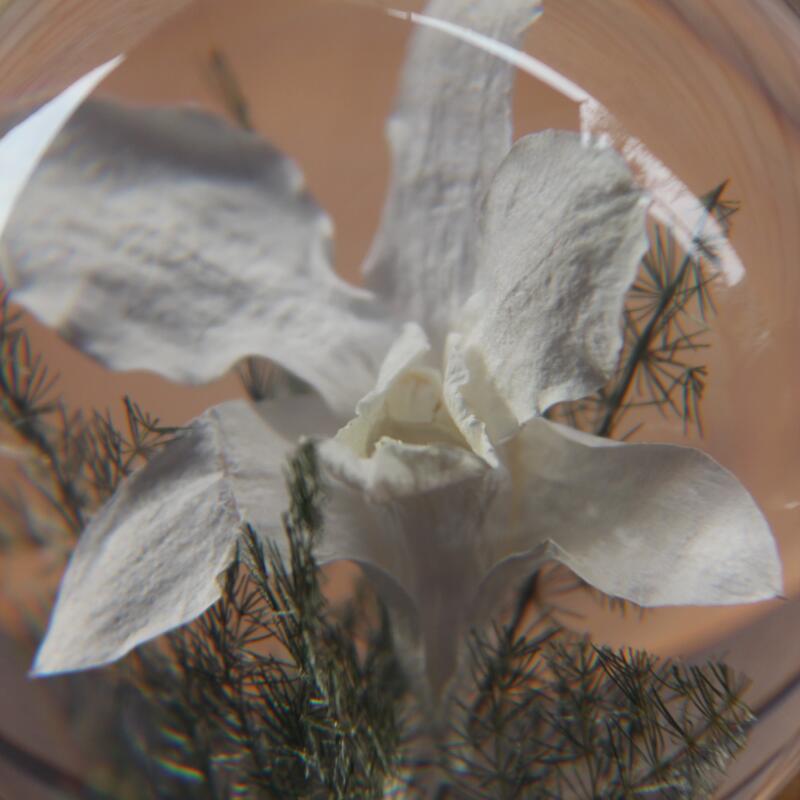 하포드 그란지 문진 (난초) 85mm Orchid White