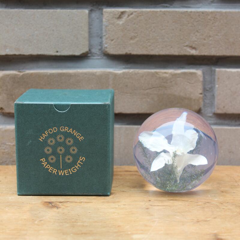 하포드 그란지 문진 (난초) 85mm Orchid White