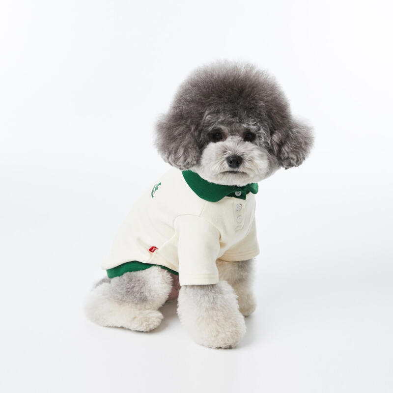KINI SMILE VOLUME LOGO COLLAR TSHIRT-IVORY(카라티)