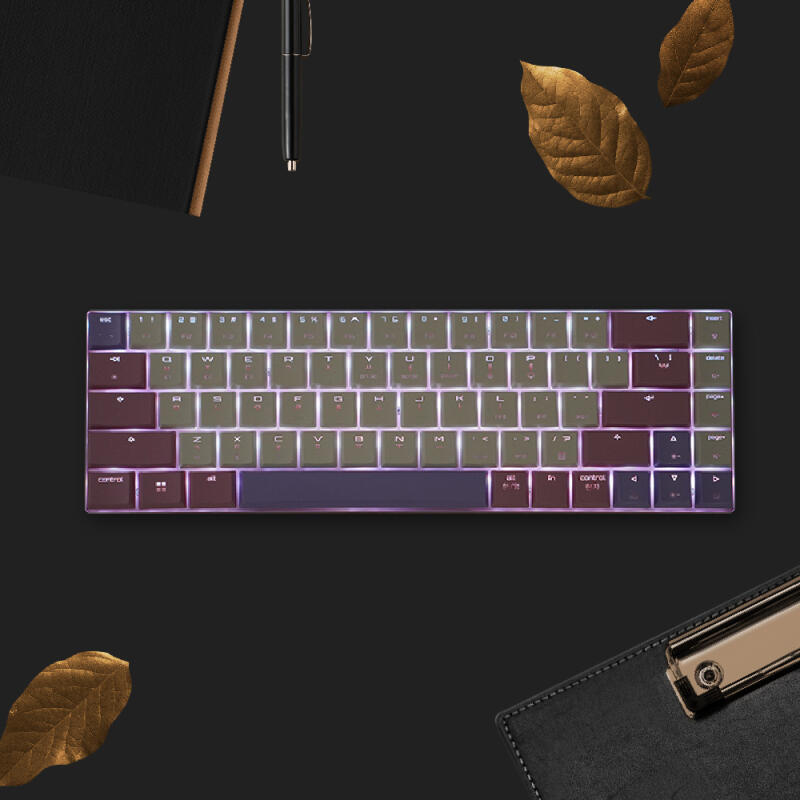 체리키보드 MX LP6.1 RGB 퍼플핑크 초슬림 블루투스