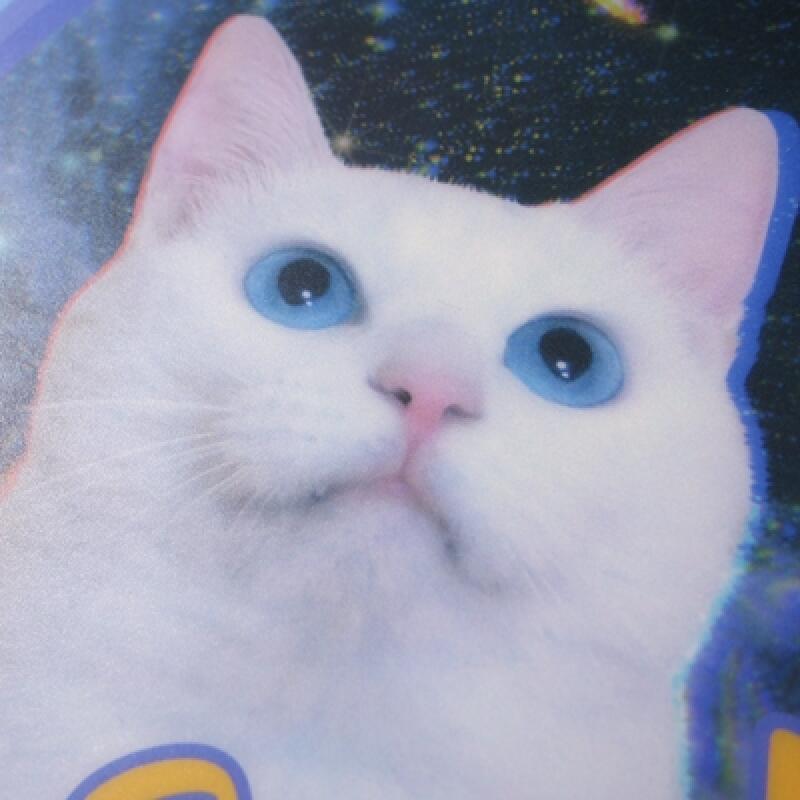 보스캣 마우스 패드_블루