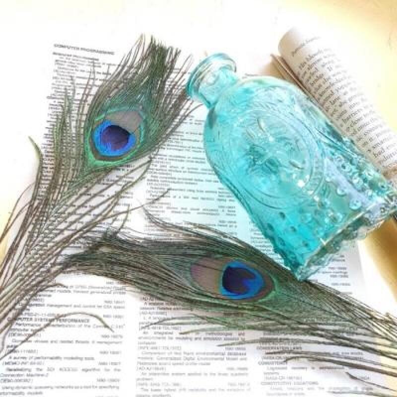공작새 깃털 장식