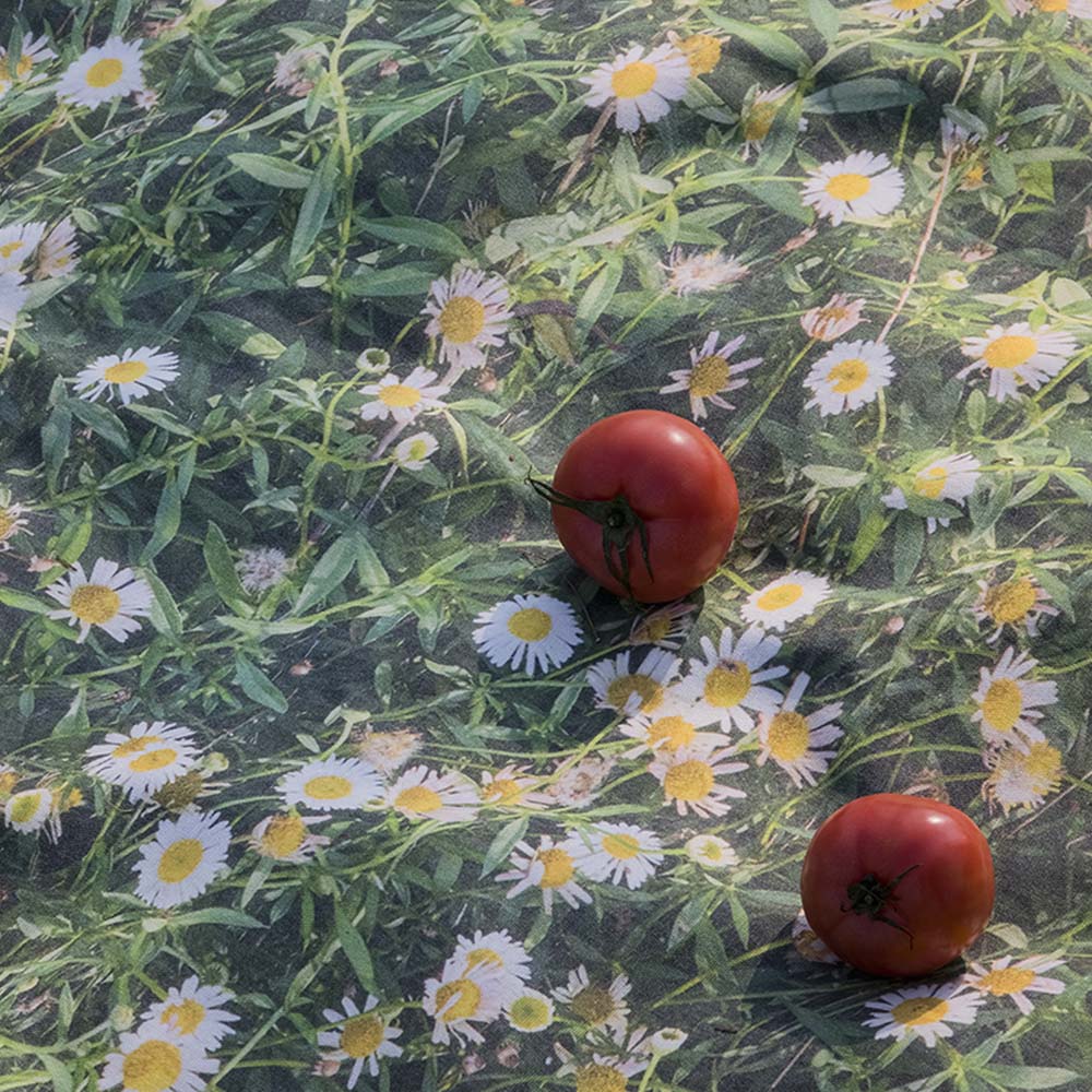 데이지 피크닉매트 140x180cm 0007