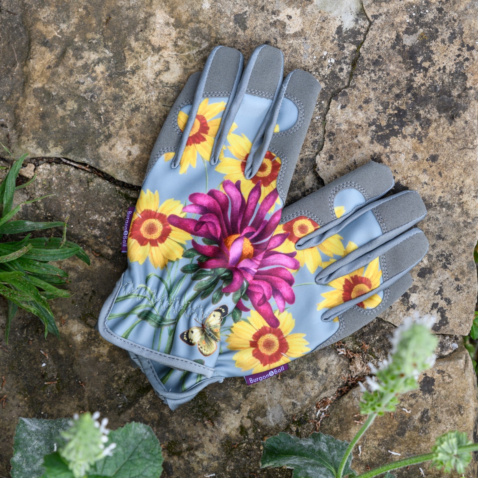 아트박스/그린무어 버건앤볼 가드닝장갑 RHS Gloves - Asteraceae