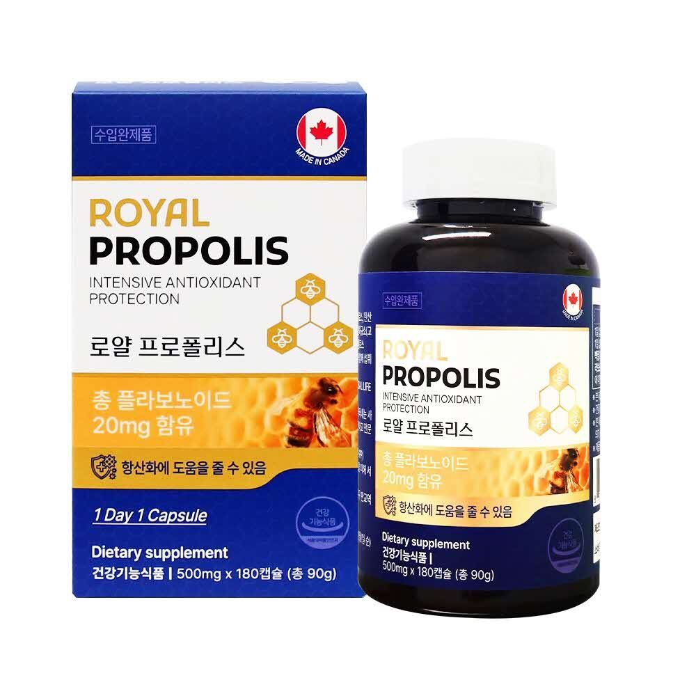 아트박스/아도라하우스 로얄 프로폴리스 500mg x 180캡슐